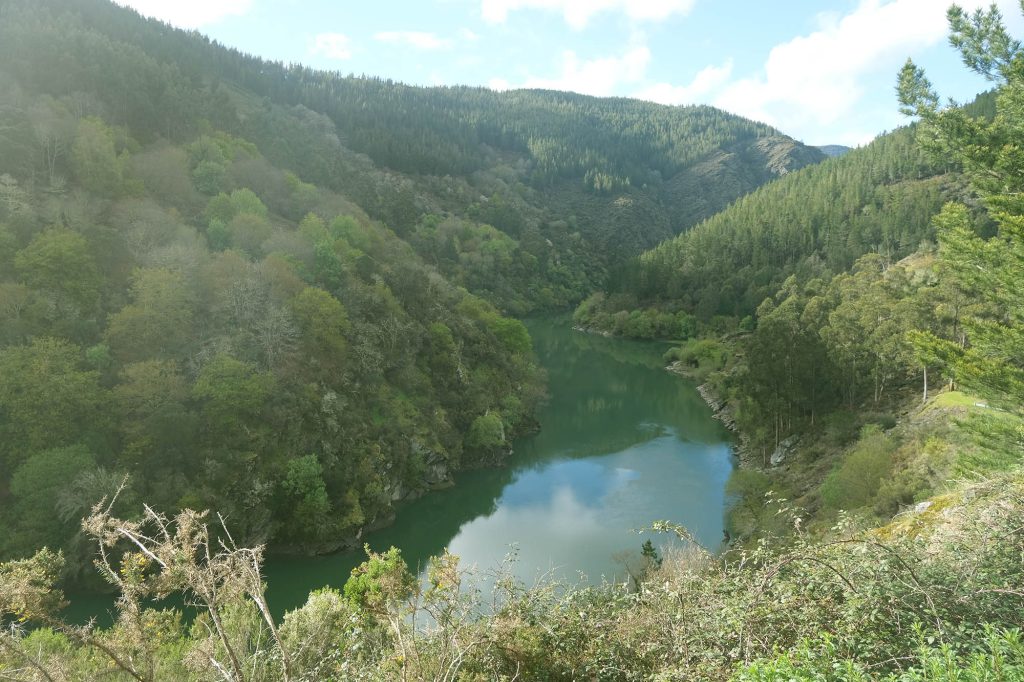 PEARL Xera Honey: Navia River