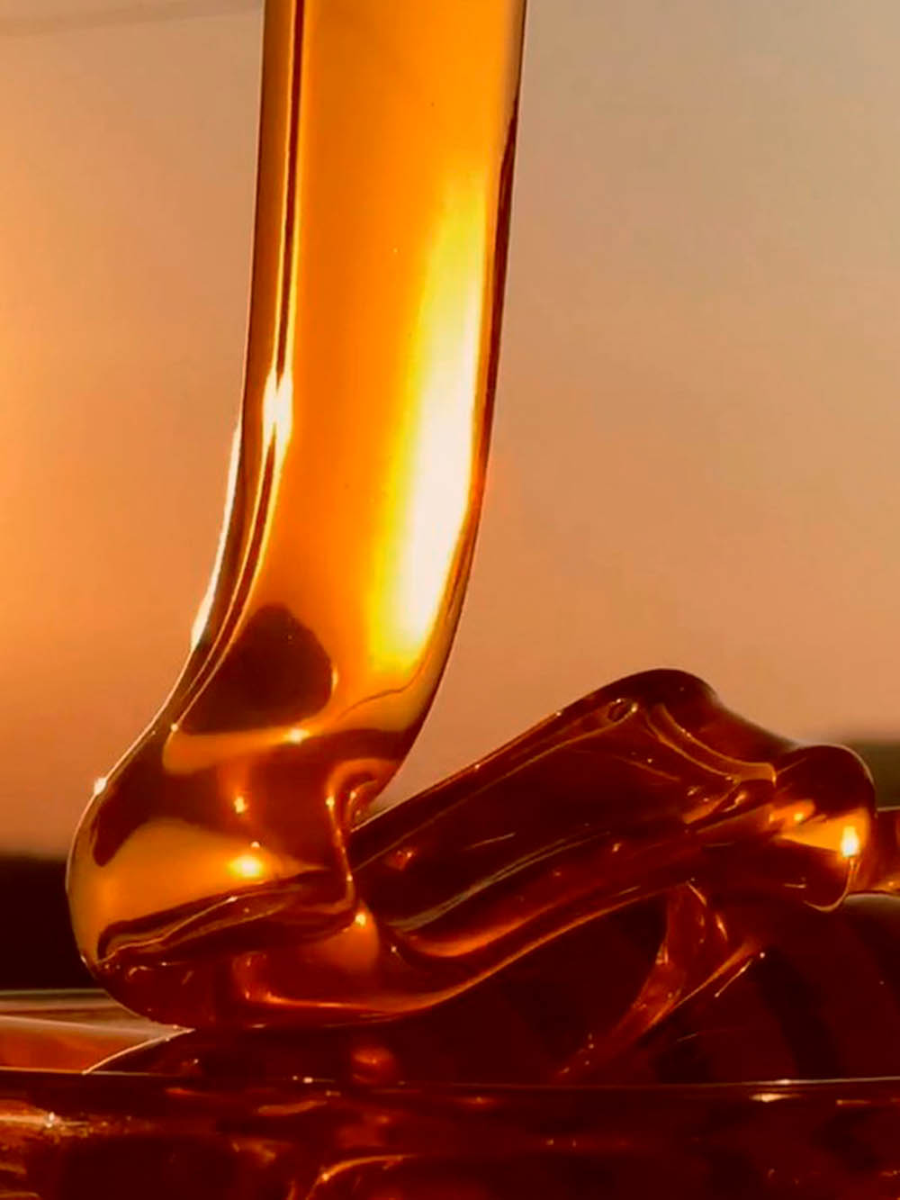 PROPERTIES Xera Honey antimicrobial antioxidant