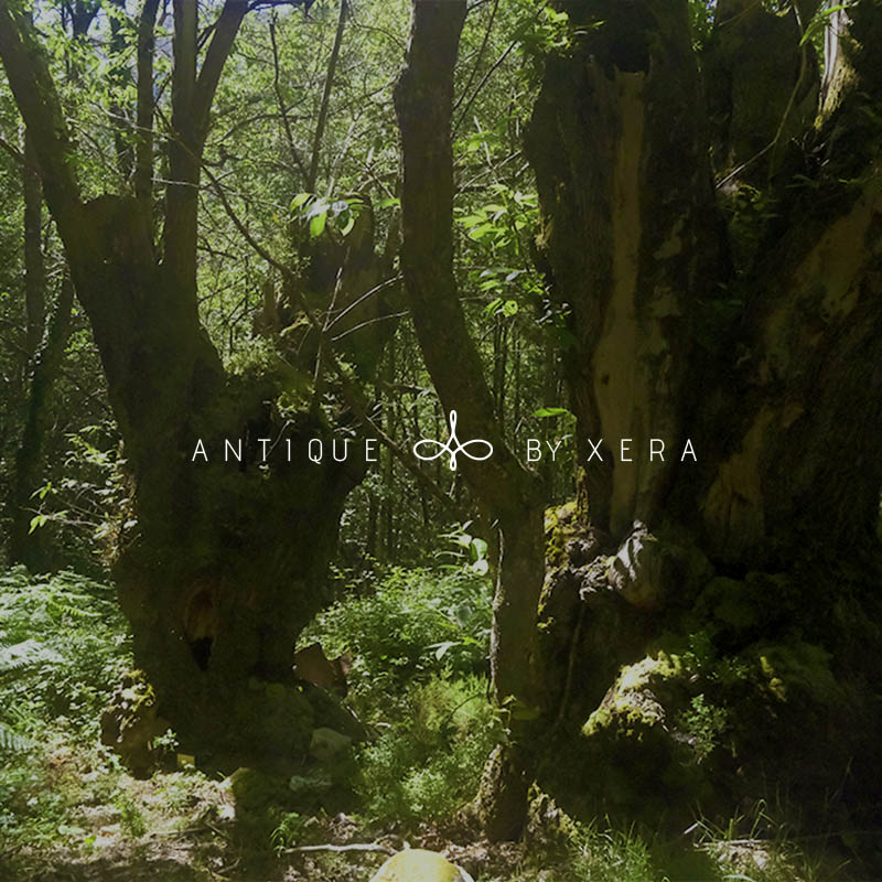 Antique by Xera